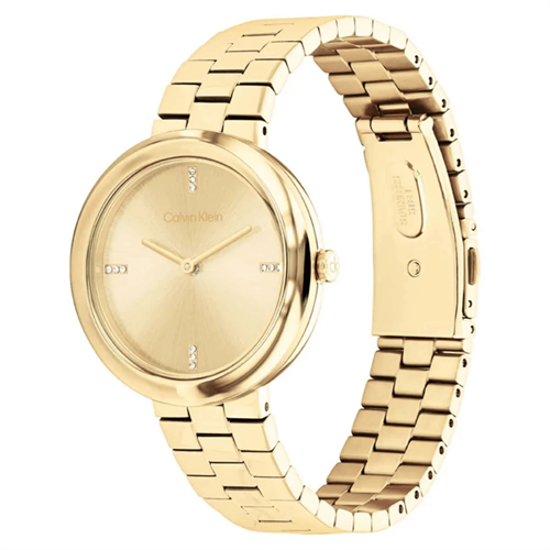 Calvin Klein CK25100094 Kadın Kol Saati
