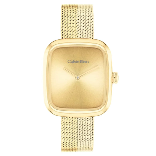 Calvin Klein CK25100099 Kadın Kol Saati