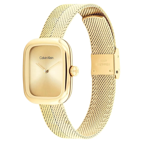 Calvin Klein CK25100099 Kadın Kol Saati