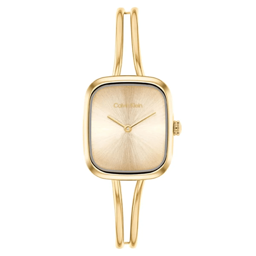 Calvin Klein CK25100132 Kadın Kol Saati