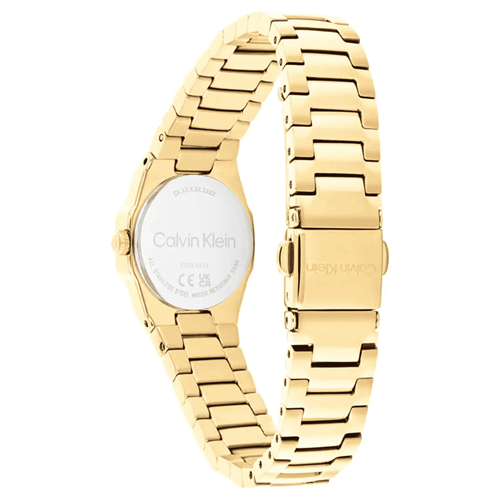 Calvin Klein CK25100142 Kadın Kol Saati