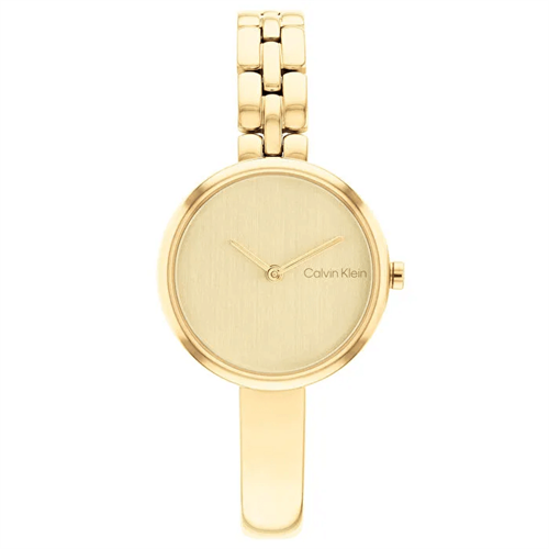 Calvin Klein CK25200279 Kadın Kol Saati