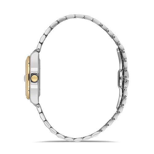 Momentus CS262T-02SG Kadın Kol Saati