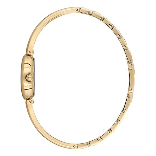 Essence D1227.120 Kadın Kol Saati