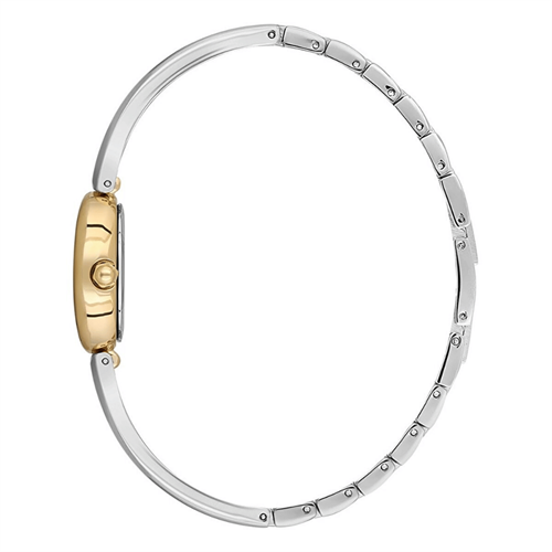 Essence D1227.220 Kadın Kol Saati