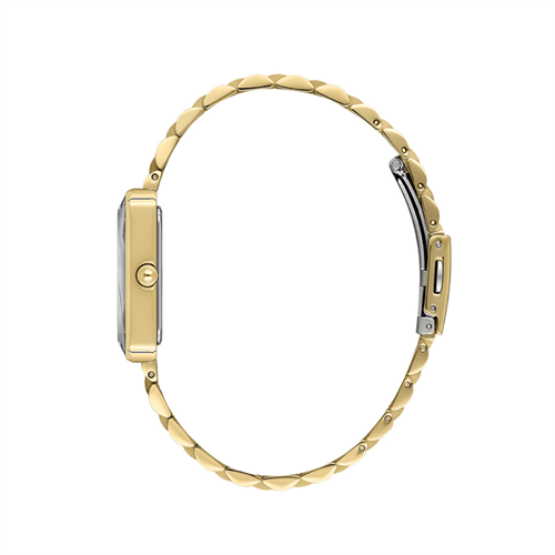 Daniel Klein DK.1.13875.02 Kadın Kol Saati