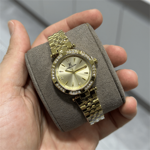 Daniel Klein DK.13.10109.03 Kadın Kol Saati