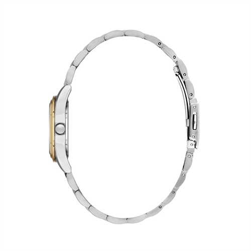 Daniel Klein DKE.1.10841.05 Kadın Kol Saati