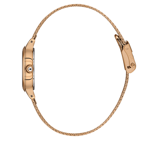 Daniel Klein DKE.1.10937.05 Kadın Kol Saati