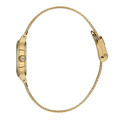 Daniel Klein DKE.1.10937.03 Kadın Kol Saati