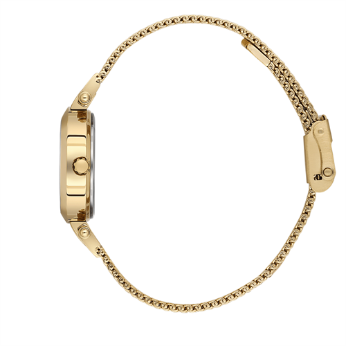 Essence ES6931FE.170 Kadın Kol Saati