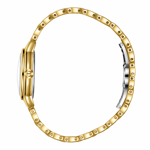 Essence ES6970FE.120 Kadın Kol Saati