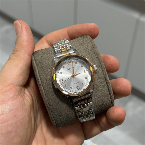 Ferrucci FER.01113-05 Çelik Kordon Kadın Kol Saati