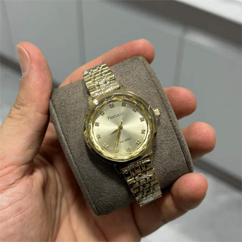 Ferrucci FER.01126M.01 Çelik Kordon Kadın Kol Saati
