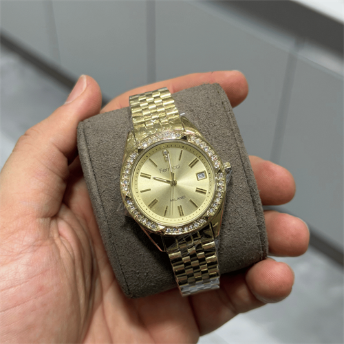 Ferrucci FER.01128M.03 Çelik Kordon Kadın Kol Saati