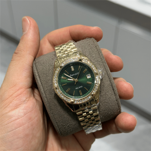 Ferrucci FER.01128M.04 Çelik Kordon Kadın Kol Saati