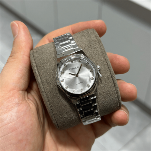 Ferrucci FER.03378M.01 Çelik Kordon Kadın Kol Saati