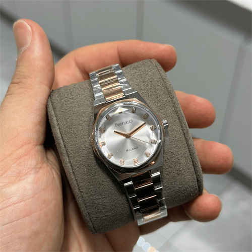 Ferrucci FER.03378M.04 Çelik Kordon Kadın Kol Saati