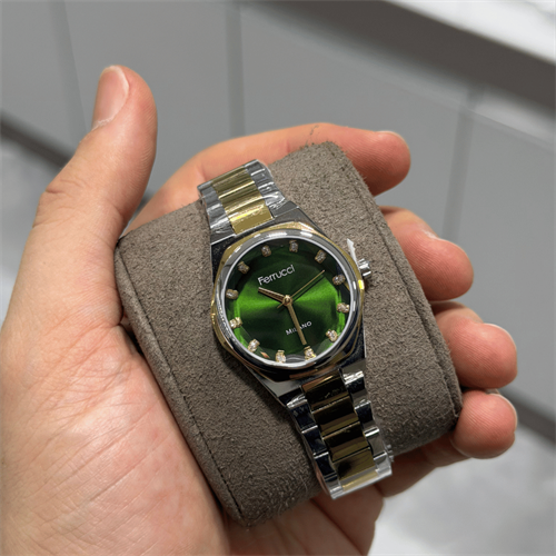 Ferrucci FER.03378M.05 Çelik Kordon Kadın Kol Saati