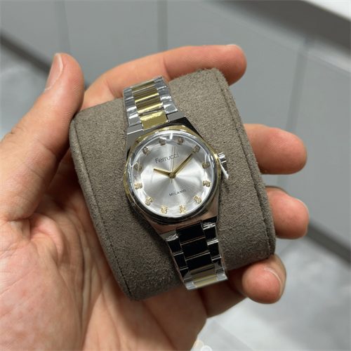 Ferrucci FER.03378M.06 Çelik Kordon Kadın Kol Saati