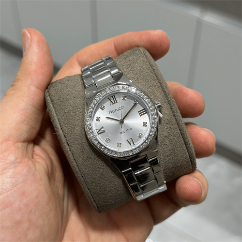 Ferrucci FER.03480M.01 Çelik Kordon Kadın Kol Saati