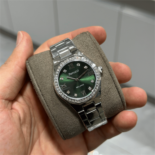 Ferrucci FER.03480M.02 Çelik Kordon Kadın Kol Saati