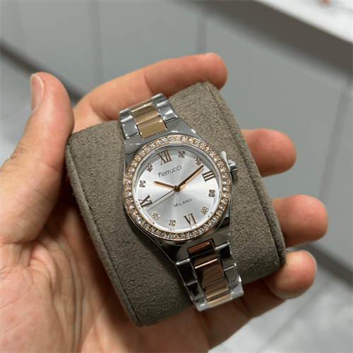 Ferrucci FER.03480M.05 Çelik Kordon Kadın Kol Saati