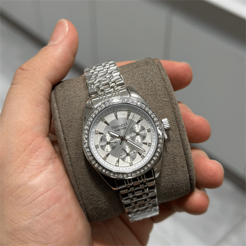 Ferrucci FER.03576M.01 Çelik Kordon Kadın Kol Saati
