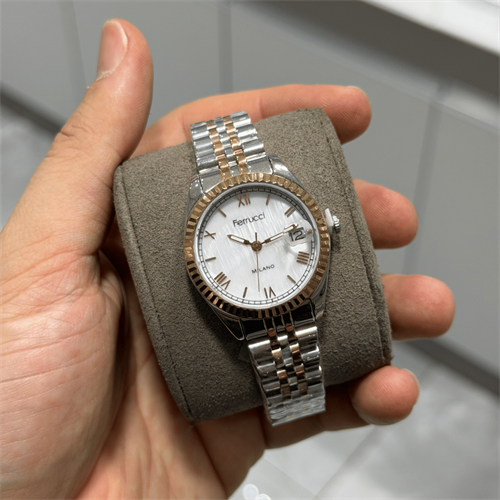 Ferrucci FER.03581M.05 Çelik Kordon Kadın Kol Saati
