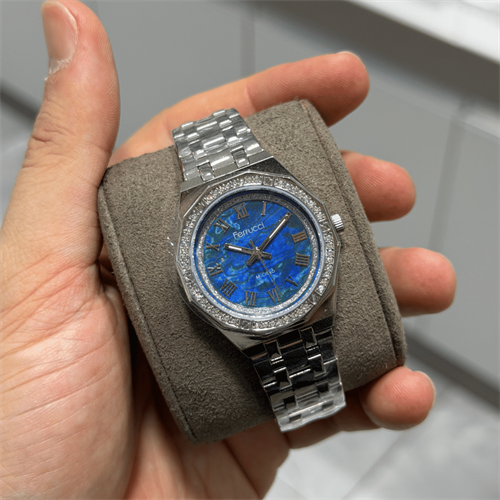 Ferrucci FER.03584M.01 Çelik Kordon Kadın Kol Saati