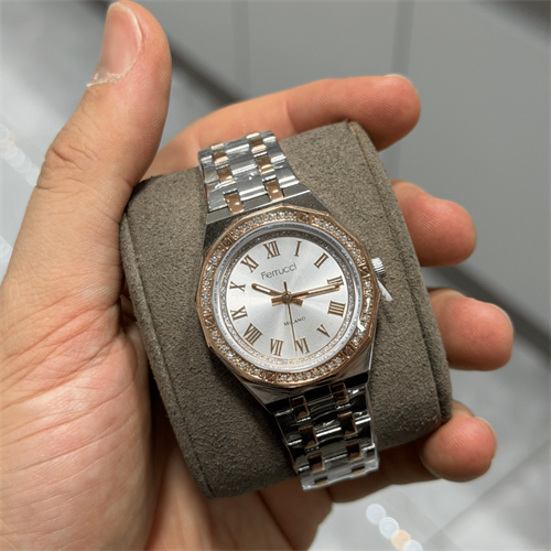 Ferrucci FER.03584M.03 Çelik Kordon Kadın Kol Saati
