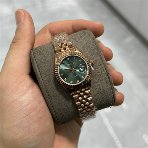 Ferrucci FER.03591M.02 Çelik Kordon Kadın Kol Saati