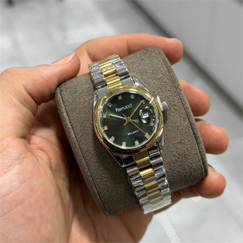 Ferrucci FER.03609M.03 Çelik Kordon Kadın Kol Saati