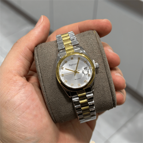 Ferrucci FER.03609M.04 Çelik Kordon Kadın Kol Saati