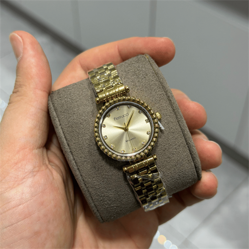 Ferrucci FER.03614M.02 Çelik Kordon Kadın Kol Saati