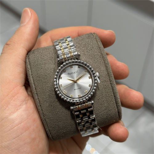 Ferrucci FER.03614M.03 Çelik Kordon Kadın Kol Saati