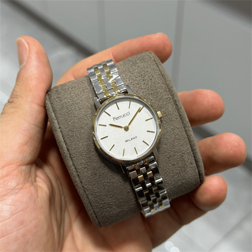 Ferrucci FER.03620M.04 Çelik Kordon Kadın Kol Saati