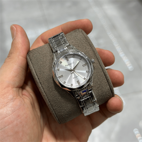 Ferrucci FER.03624M.01 Çelik Kordon Kadın Kol Saati