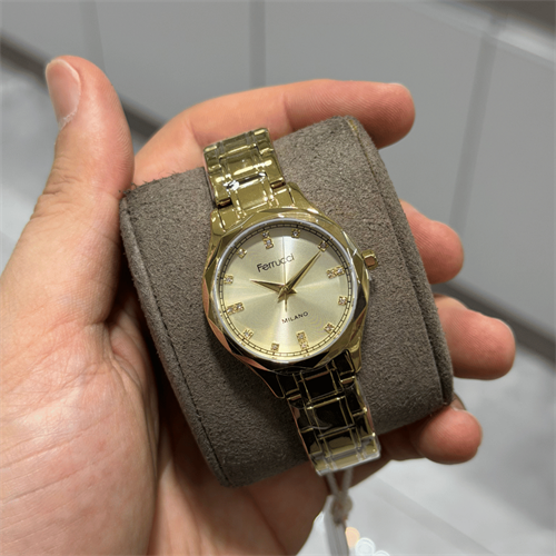 Ferrucci FER.03624M.02 Çelik Kordon Kadın Kol Saati