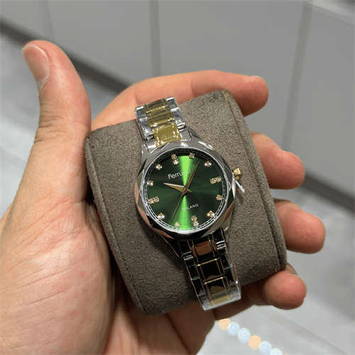 Ferrucci FER.03624M.03 Çelik Kordon Kadın Kol Saati