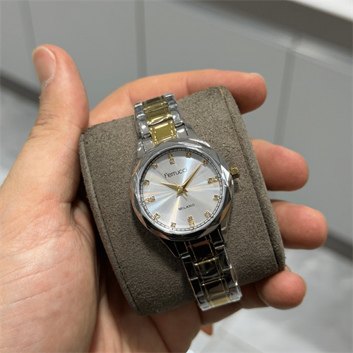 Ferrucci FER.03624M.04 Çelik Kordon Kadın Kol Saati