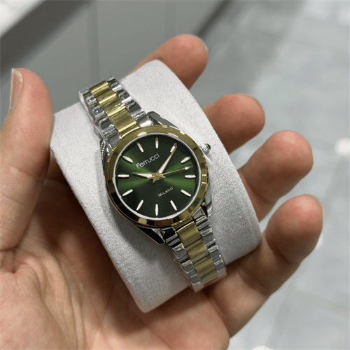 Ferrucci FER.03675M.05 Çelik Kordon Kadın Kol Saati