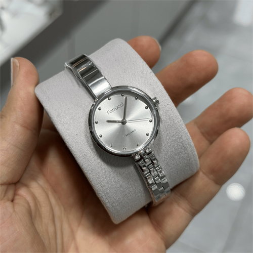 Ferrucci FER.03677M.01 Çelik Kordon Kadın Kol Saati