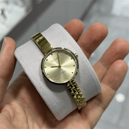 Ferrucci FER.03677M.02 Çelik Kordon Kadın Kol Saati