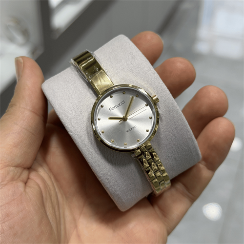 Ferrucci FER.03677M.04 Çelik Kordon Kadın Kol Saati