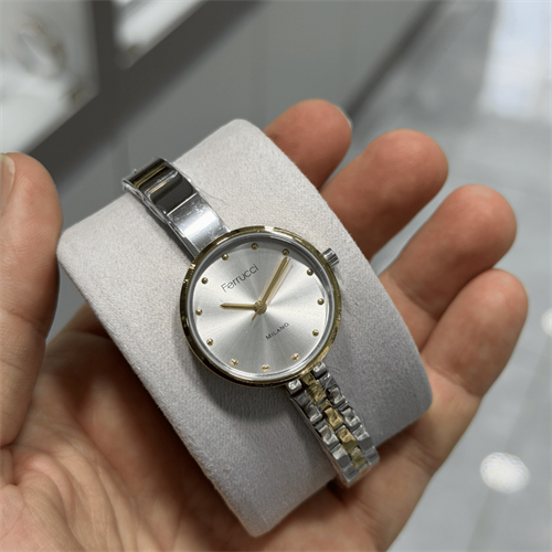 Ferrucci FER.03677M.06 Çelik Kordon Kadın Kol Saati