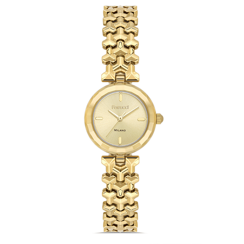 Ferrucci FER.03695M.02 Çelik Kordon Kadın Kol Saati