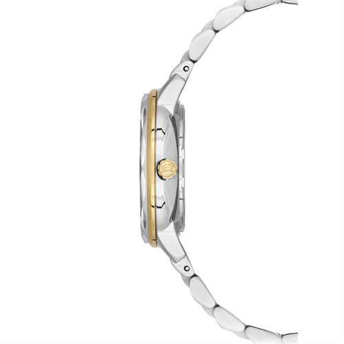 Nacar NC33-398223-CNMS Kadın Kol Saati