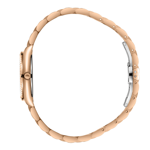 Slazenger SL.09.2457.3.06 Kadın Kol Saati