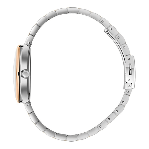 Slazenger SL.09.2468.4.04 Kadın Kol Saati